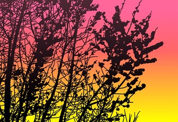 Obraz premium silueta arbol, arbusto, hojas, ramas, otoño, ilustracion, bosques, naturaleza, sequia, atmosfera