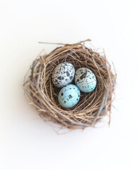 Naklejka na ściany i meble 鳥の巣の中にある青みを帯びた卵