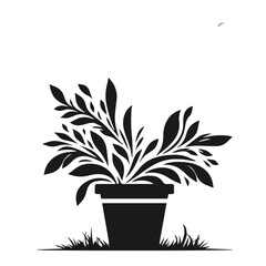 Collection of 3d realistic vector icon illustration potted plants for the interior. Isolated on white background.
