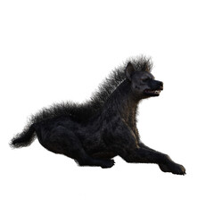 3D rendered hyena isolated on transparent background  
