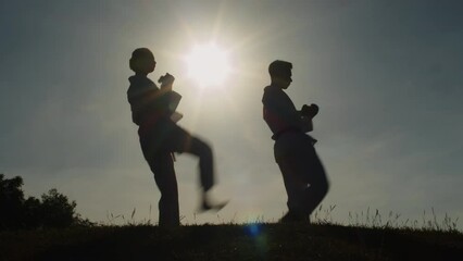 Long shot of silhouettes of martial art fighters practicing kicks at sunset