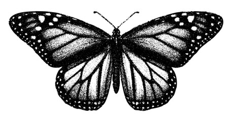 monarch butterfly isolated retro photocopy effect grunge stipple grain texture