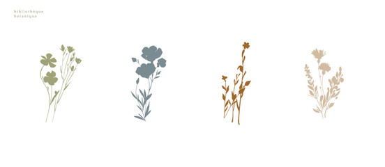 Meadow flowers vector illustration. Botanical header background - 781631992