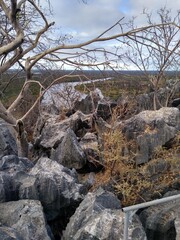 my photo of a forest with river and rocks photography