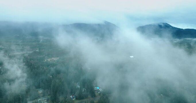 Drone flying through the thick fog above the natural landscape. Valley with pine tree woods opening to the view in Mount Rainer national Park, Washington State, the USA.