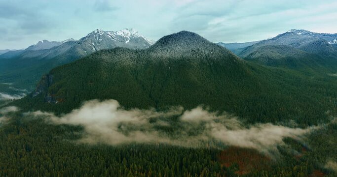 Old-growth pine-tree forests covering the mountains and valleys in Mount Rainer national Park, Washington State, the USA. Clouds of mist covering the woods. Sun lights the tops of rocks. Top view.