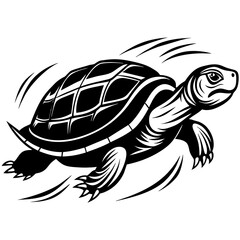 turtle illustration