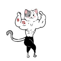 muscular cat