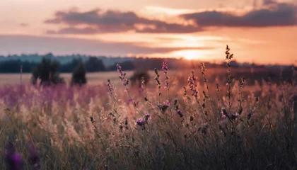 Tragetasche beautiful panoramic natural landscape with a beautiful bright textured sunset over a field of purple wild grass and flowers selective focusing on foreground © Makayla