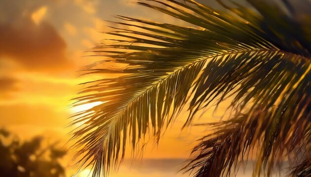 palm leaves against the yellow sunset sky natural background