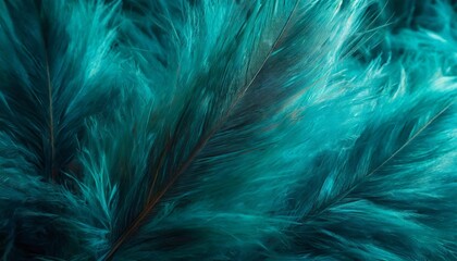 abstract soft blue feather background closeup of turquoise fluffy feathers soft selective focus