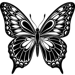 black and white butterfly illustration