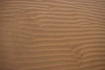 Fototapeta na wymiar Seamless wet sand with sea water on a whole background. Empty wavy sandy sea bottom. Exotic Sandy Ocean beach surface. Top view. Simple, minimalistic photo. Ideal concept for banner, poster, ads.
