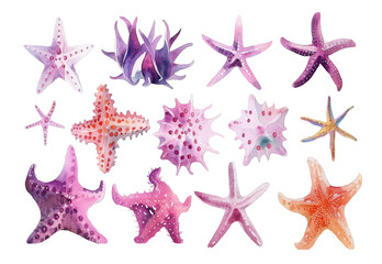 
Starfish set, isolated vector watercolor illustration.