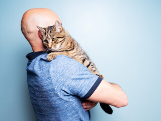 Man holding cute tabby cat in his hands blue wall background. Display of love and care towards home...