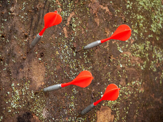 Red darts in a wooden panel, sport and hobby, beer game. Selective focus. Nobody.