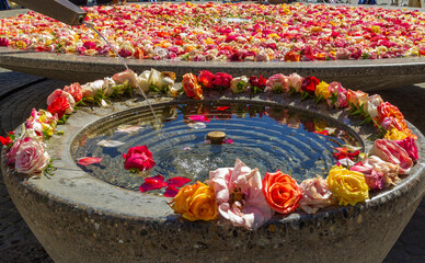 Public fountains in the Swiss town Zurich are filled with fresh roses 