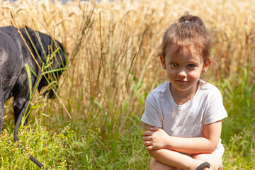 A little girl sits whining in a wheat field with her dog. Sulfur Labrador on his owner's leash