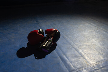 boxing gloves in ring