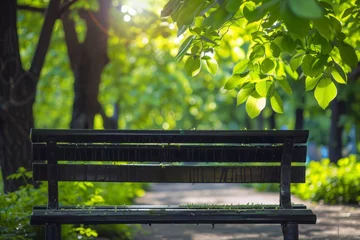 Foto op Canvas A bench in a park with trees and green leaves, AI © starush