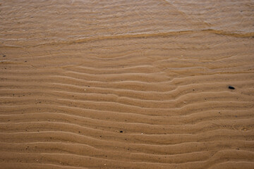 Fototapeta na wymiar Seamless wet sand with sea water on a whole background. Empty wavy sandy sea bottom. Exotic Sandy Ocean beach surface. Top view. Simple, minimalistic photo. Ideal concept for banner, poster, ads.