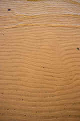 Seamless wet sand with sea water on a whole background. Empty wavy sandy sea bottom. Exotic Sandy...