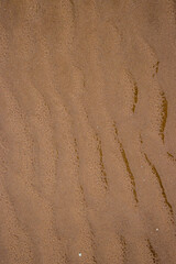 Wet sand with sea water on a whole background. Empty wavy sandy sea bottom. Exotic Sandy Ocean beach surface. Top view. Texture and Wave of Black Sand Beach During Low Tide Hours on A Hot Summer Day