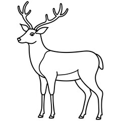 deer illustration