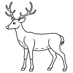Obraz premium deer vector