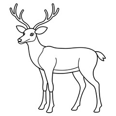 deer illustration
