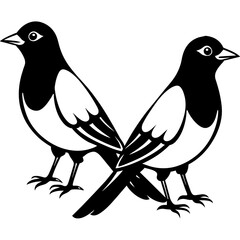 two birds on a white