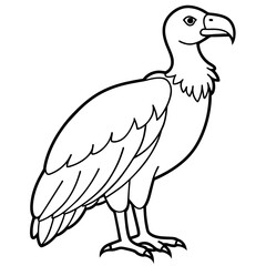 eagle isolated on white