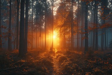 Warm sunrays piercing the dense autumnal forest, creating a magical and enchanting morning scene