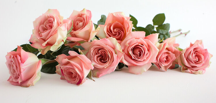 A cluster of freshly cut pink roses forms a captivating floral arrangement against a clean white background, their soft hues and delicate fragrance captured in stunning HD clarity by the camera