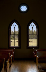 View of bison herd grazing on prairie framed by old gothic windows