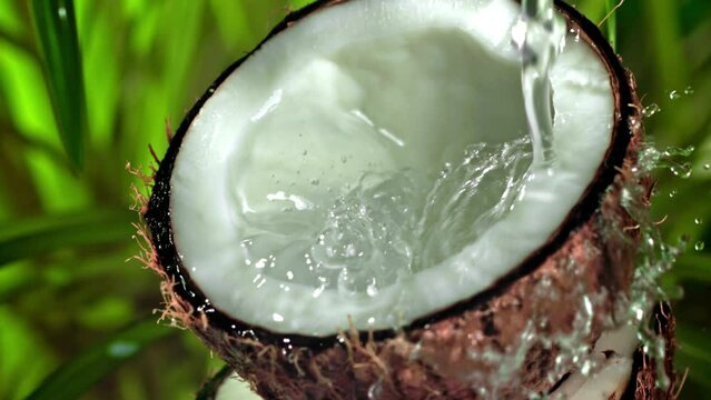 Super slow motion coconut with splashes. High quality FullHD footage
