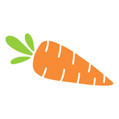 illustration of a carrot vegetable