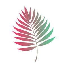 Isolated green and pink palm leaf, gradient vector illustration
