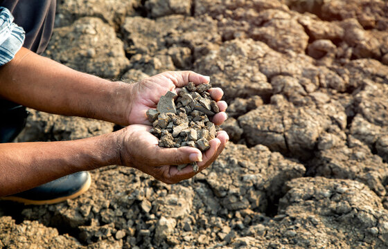 Agriculture, drought, dry soil in the hands of a farmer