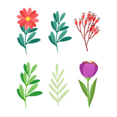 Hand drawn spring flower collection on white background