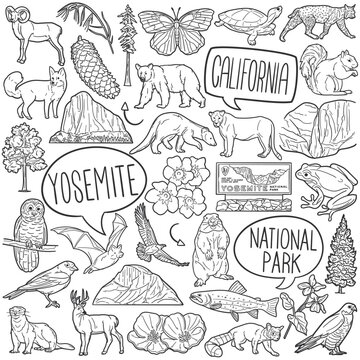 Yosemite Doodle Icons Black and White Line Art. National Park Clipart Hand Drawn Symbol Design.