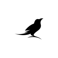 raven or crow bird silhouette logo vector icon