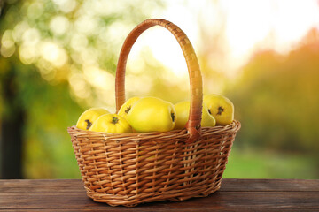 Fresh ripe quinces in wicker basket on wooden table outdoors