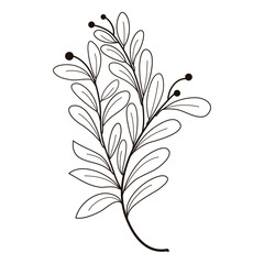 Hand drawn tree leaf twig floral element illustration