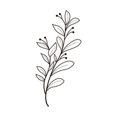 Hand drawn tree leaf twig floral element illustration