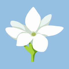 vector hand drawn snowdrop illustration