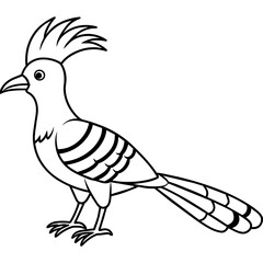 Hoopoe Bird Line Illustration Coloring Sheet