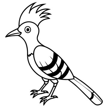 recommend clip art: Hoopoe Line Art Coloring Page for Kids