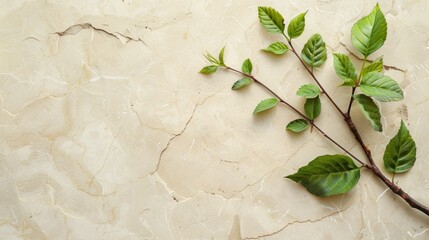 green leaf branch on beige background generative ai