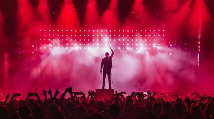 A figure stands atop a stage illuminated by bright lights and surrounded by a throng of cheering fans. In their hand a microphone symbolizing their skill in capturing and holding the . - obrazy, fototapety, plakaty